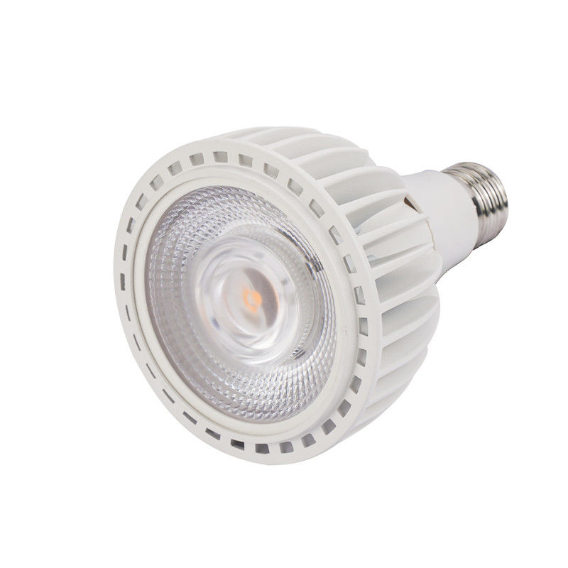 Teco 230v Par30 Fin ampoules à LED en aluminium coulé 2700K Par30 Led Dimmable Blanc chaud