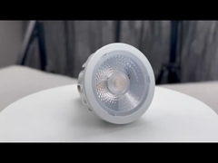 Bulbes à LED PAR20