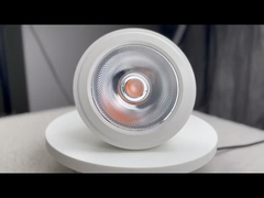 Bulbes à LED PAR30
